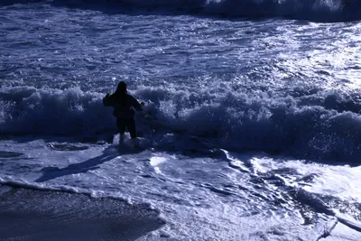 DSC_0430 (Large).JPG